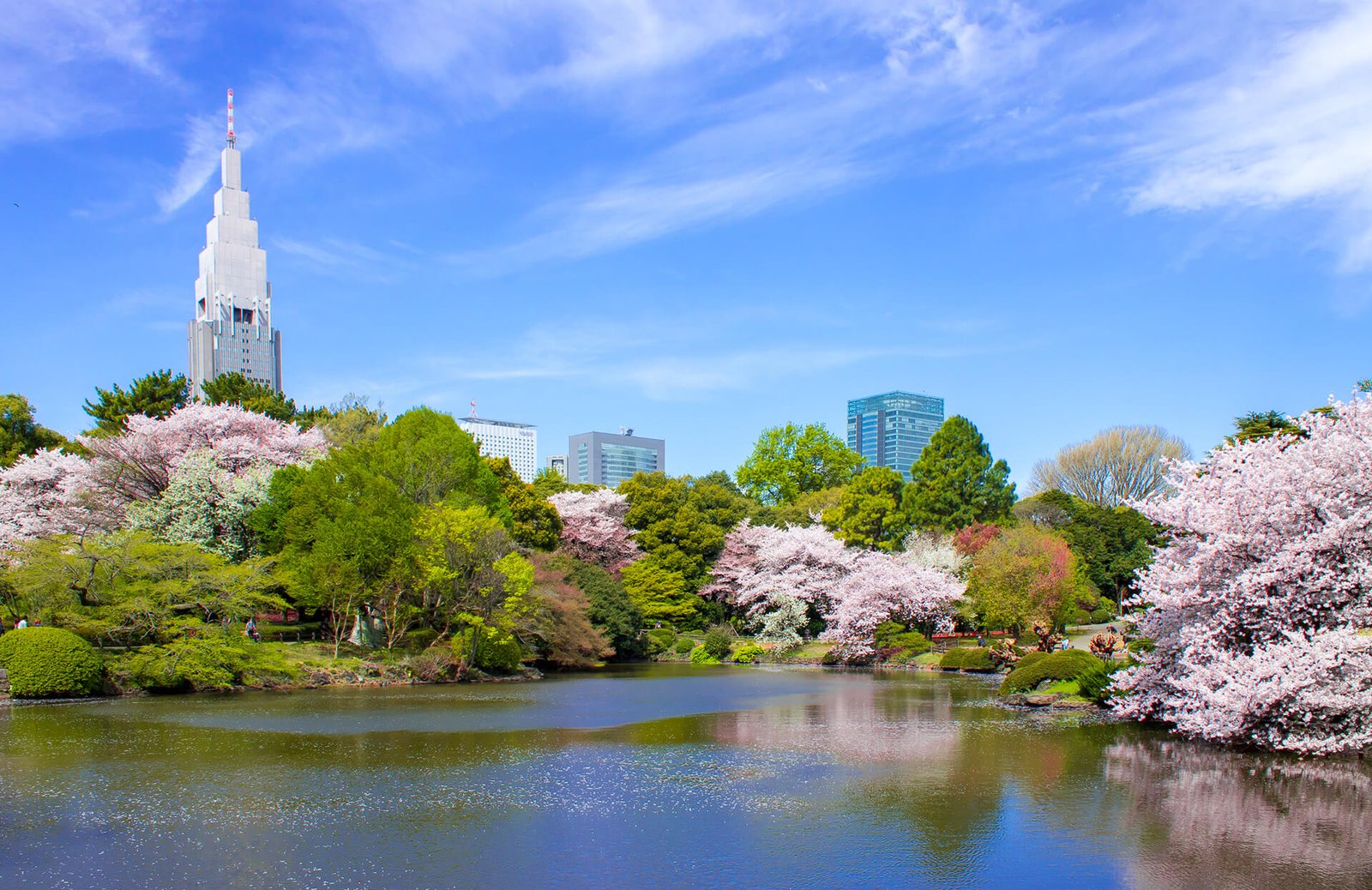 Shinjuku-gyoen